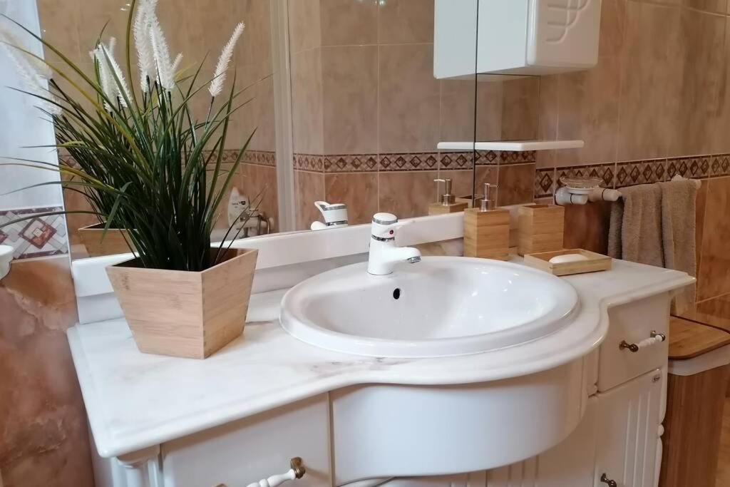 Villa Refugio Do Seixoso Celorico De Basto Esterno foto